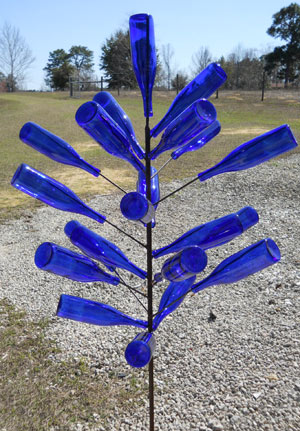 african bottle tree