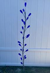 The Morning Glory Tree by Cubby's